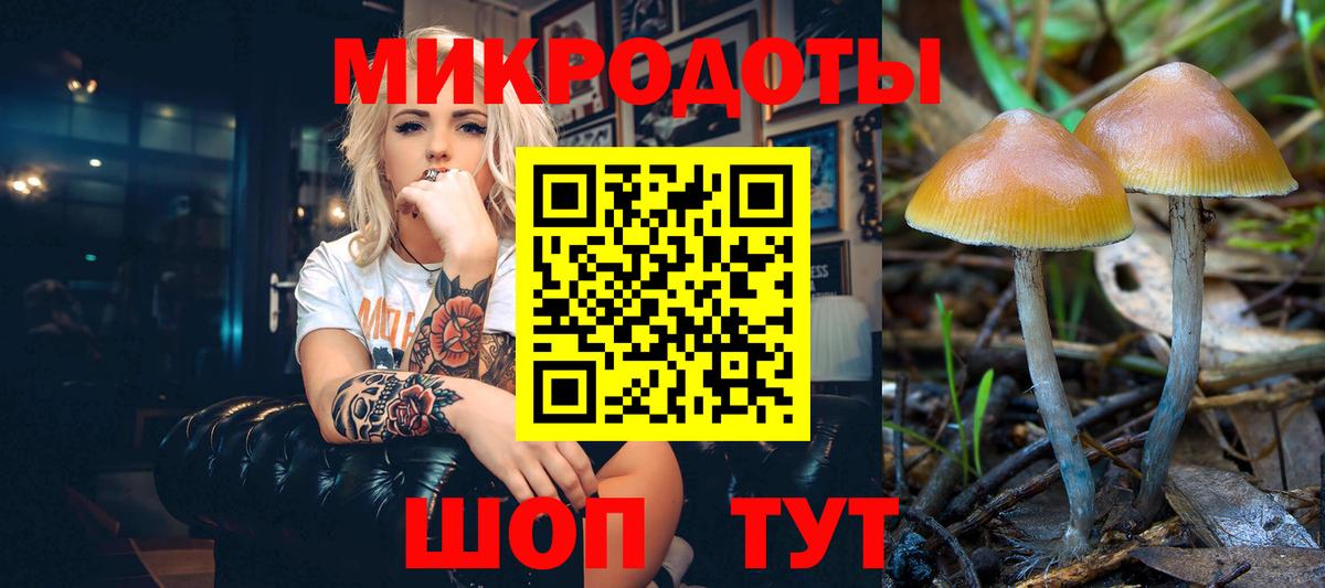 Псилоцибиновые грибы ЛСД  Вход с VPN  Гулькевичи 